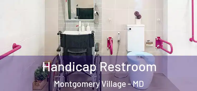 Handicap Restroom Montgomery Village - MD