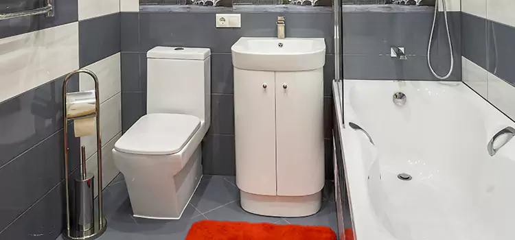 Hansgrohe Shaving Mirror Montgomery Village